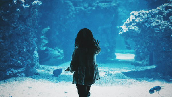 aquarium