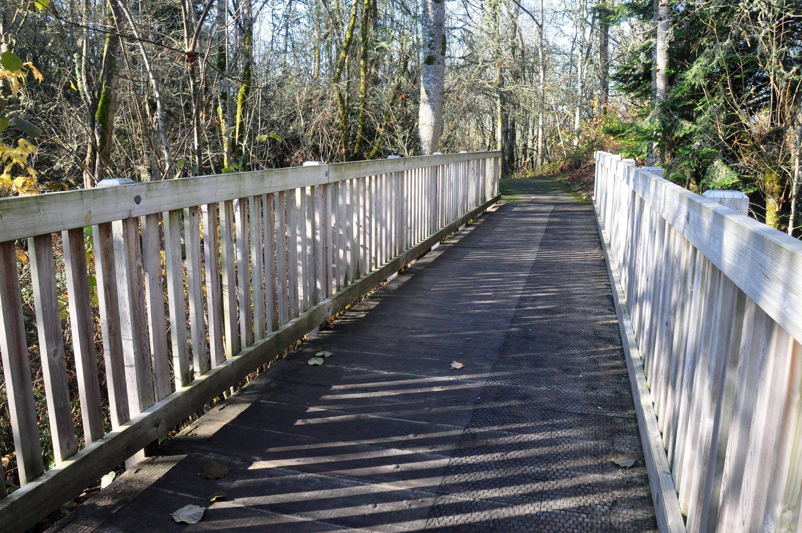 MintoBrown Island Park Insight Pest Solutions