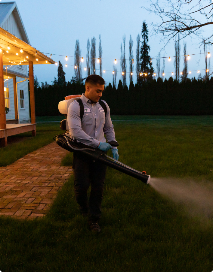 Pest Control Insight Pest Solutions