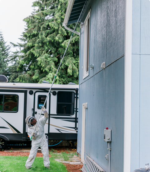 Pest control technician removing wasp nest