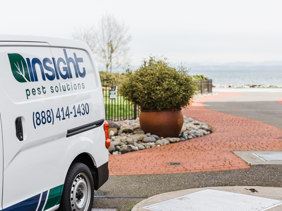 pest control van, insight pest solutions