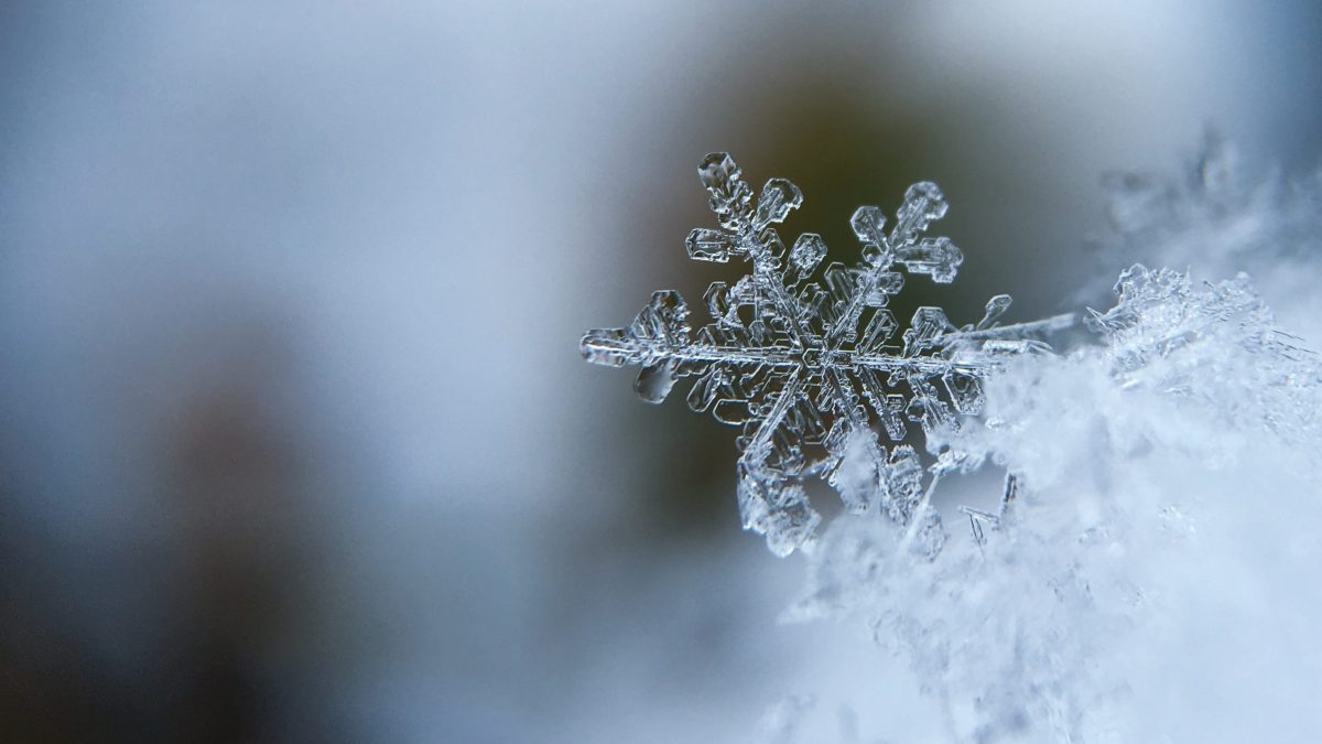 Magnified snowflake