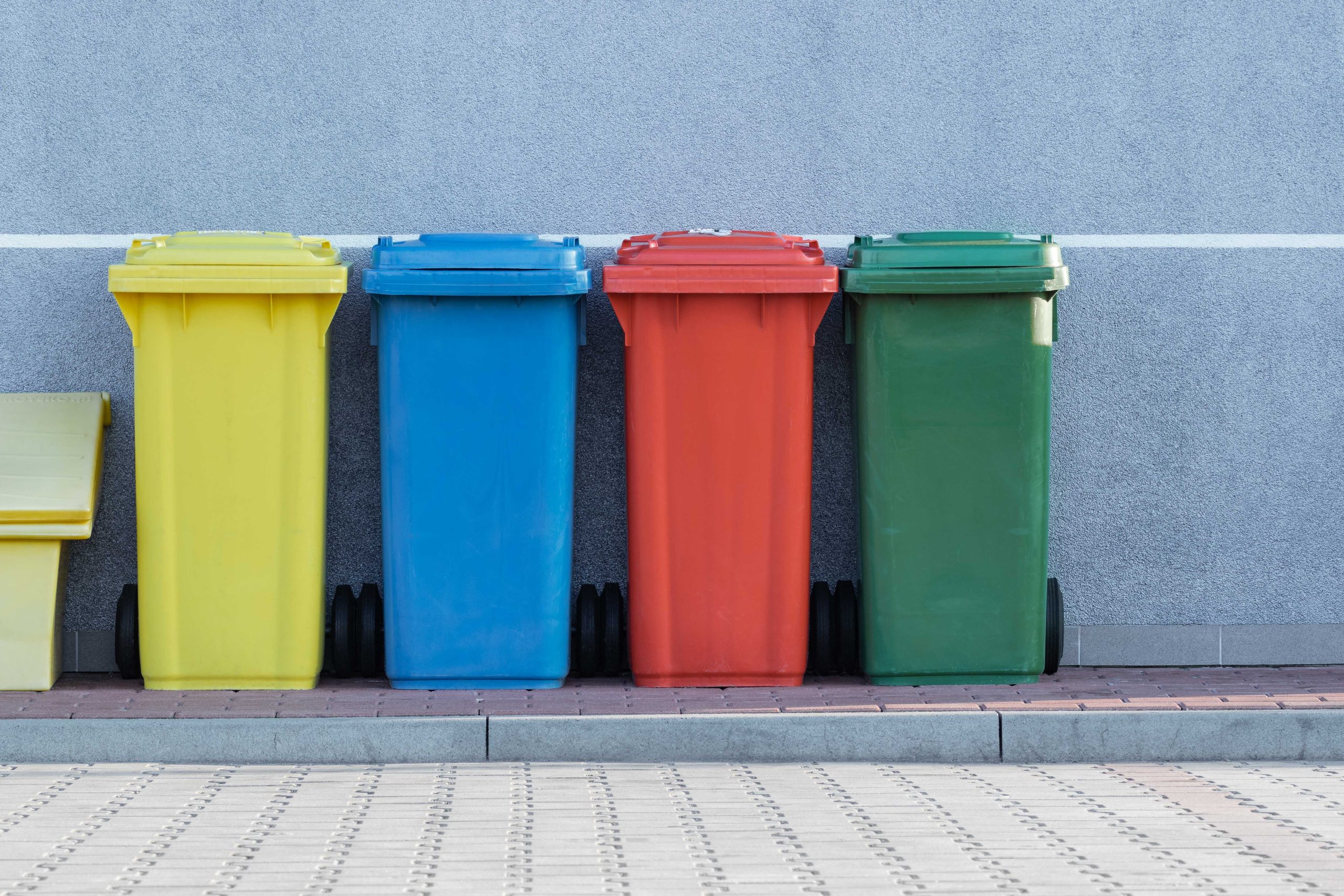Keeping Your Trash Can Pest Free Insight Pest Solutions