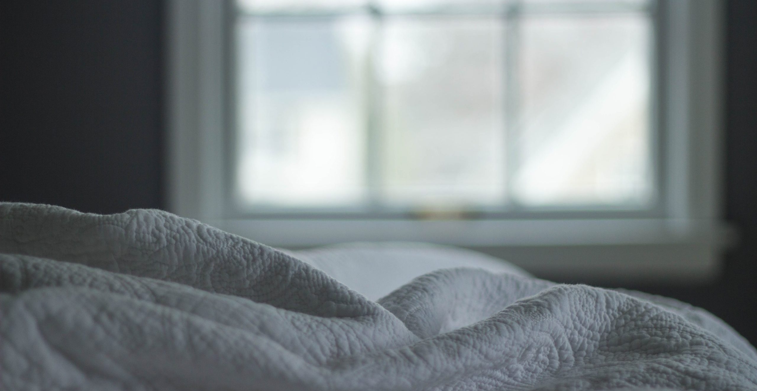 Protect Yourself From a <br>Bed Bug Outbreak