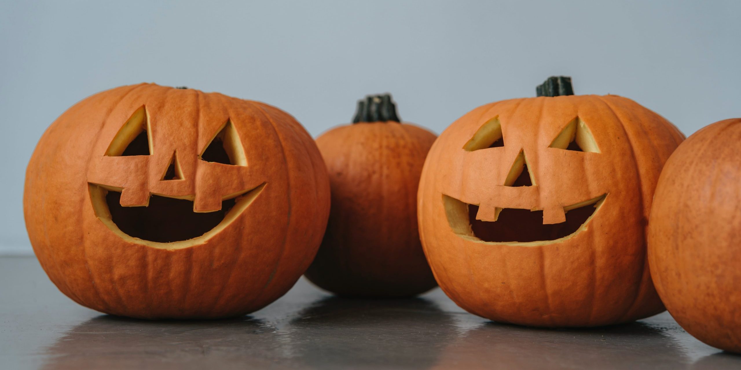 How to Prevent My Halloween Pumpkins From Attracting Nearby Pests