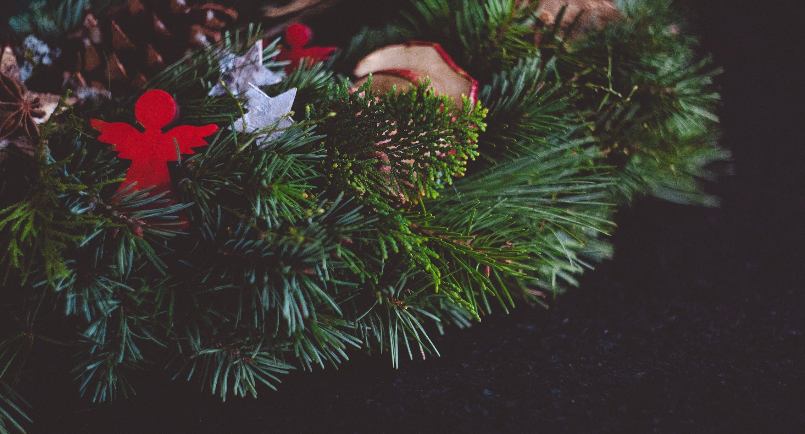How To Avoid Pests This Holiday Season