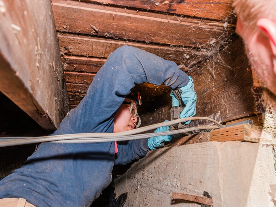 sealing crawlspace, pest technician