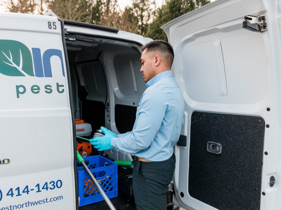 pest control technician