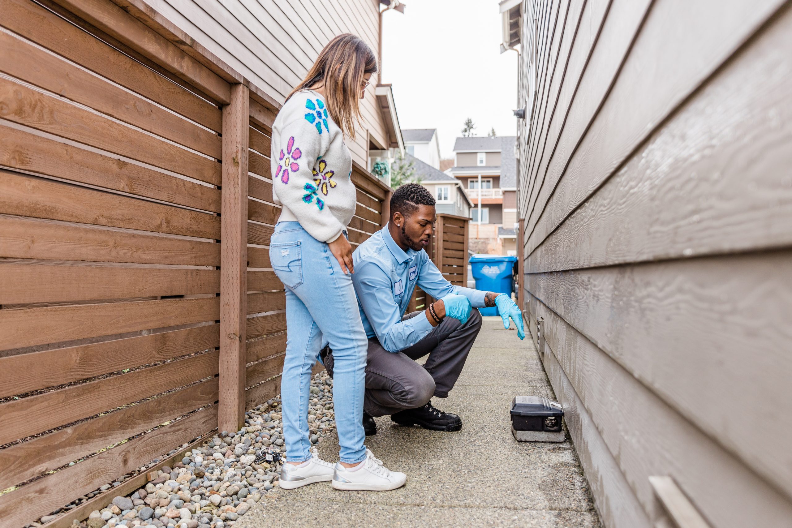 Pest Control Bellingham