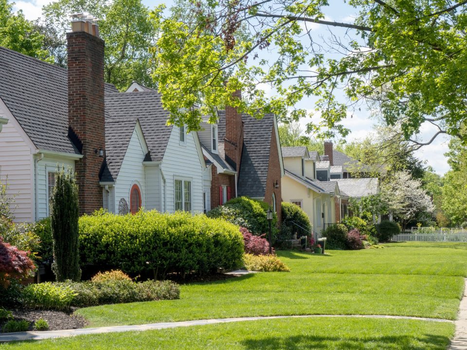 Neighborhood sidewalk