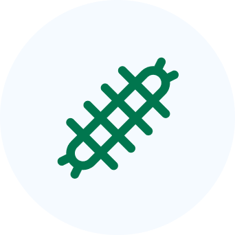 Occasional Invader (1)