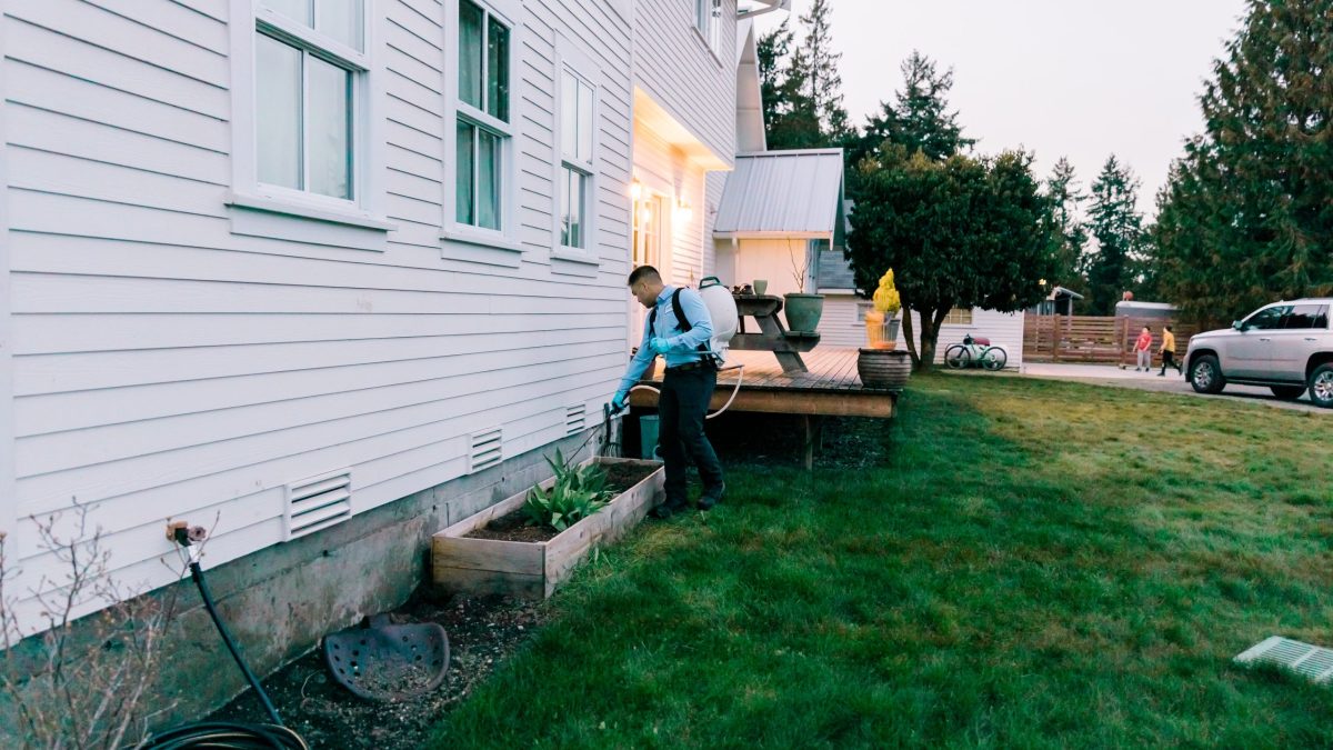 Insight Pest technician spraying yard