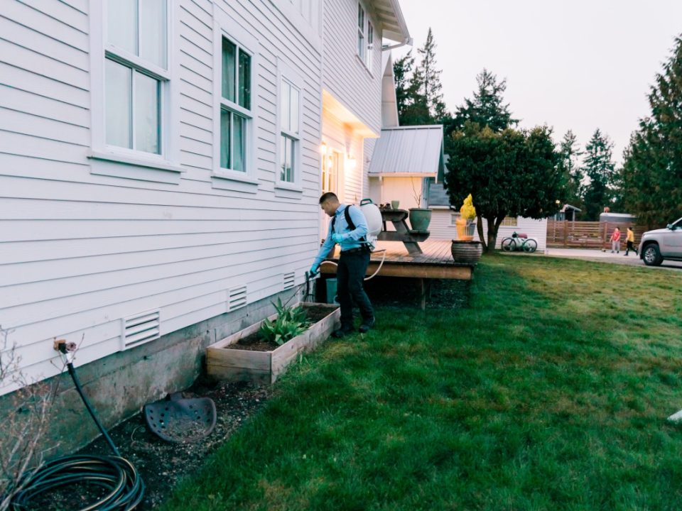 Insight Pest technician spraying yard