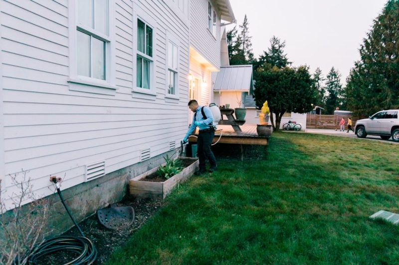 Insight Pest technician spraying yard
