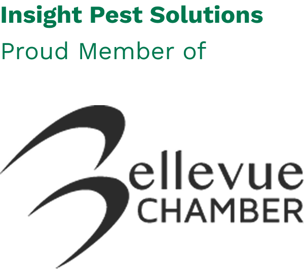 Bellevue Chamber of Commerce