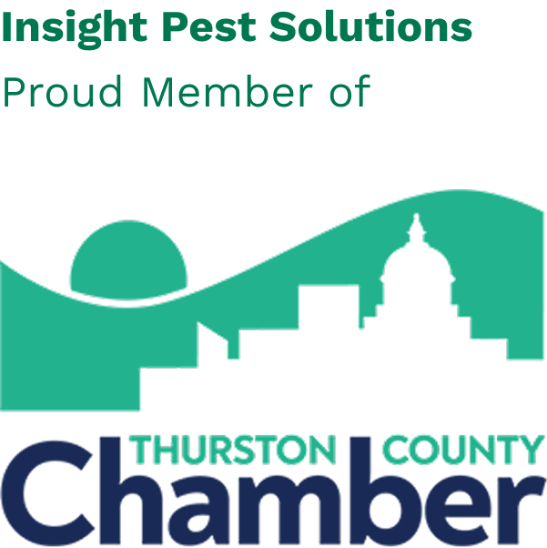 thurston county chamber of commerce