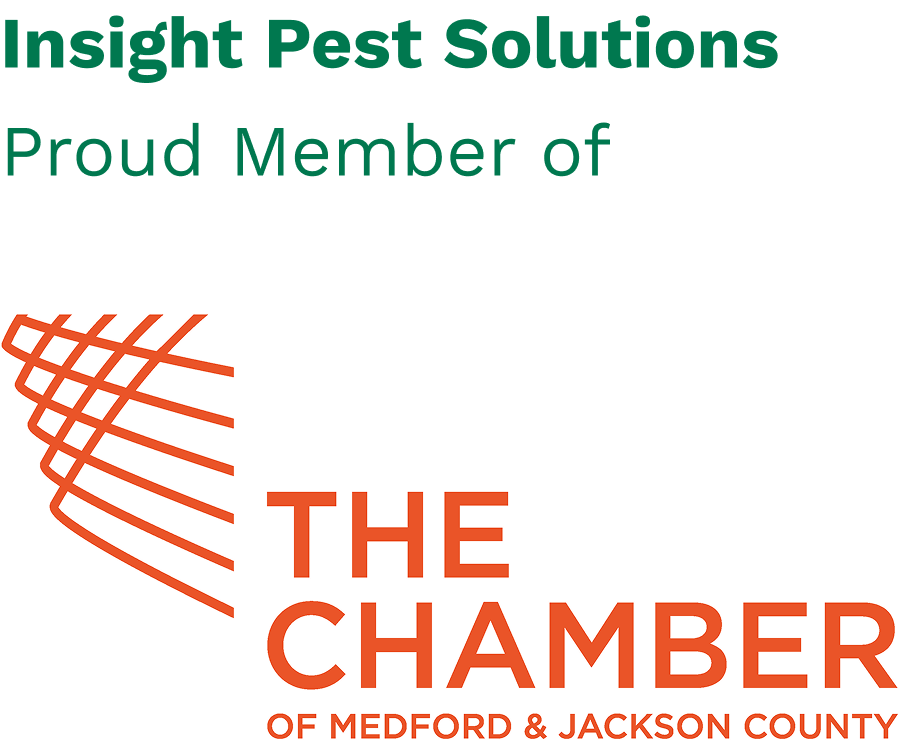 medford chamber