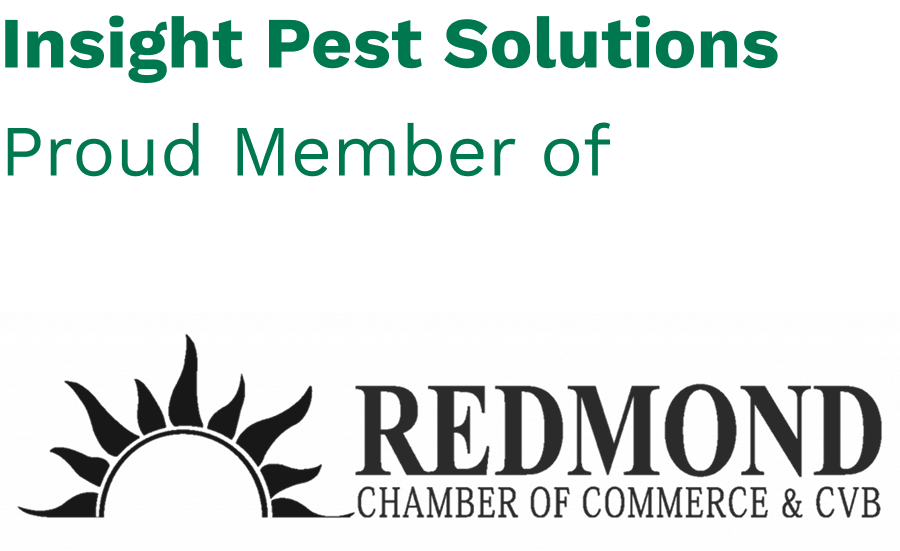 redmond or chamber