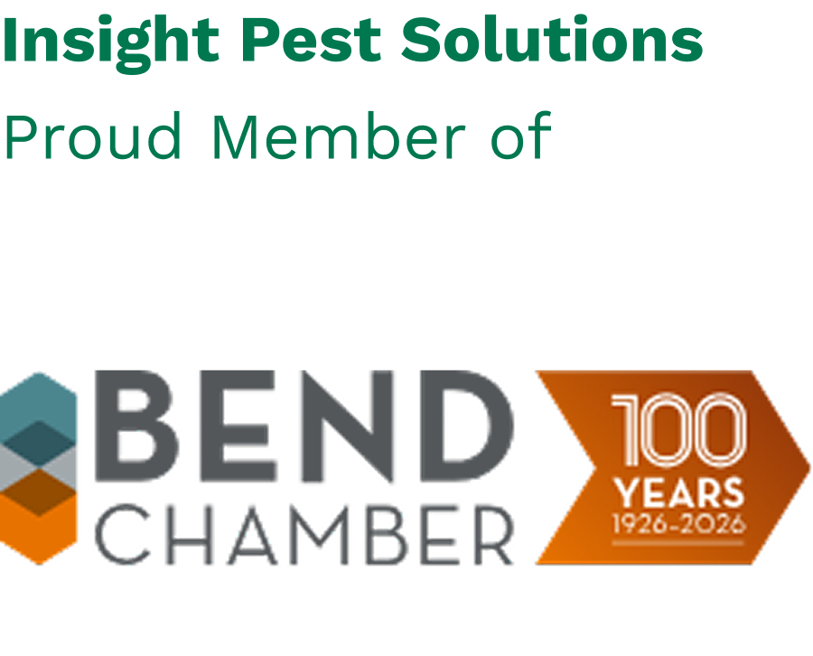 bend chamber